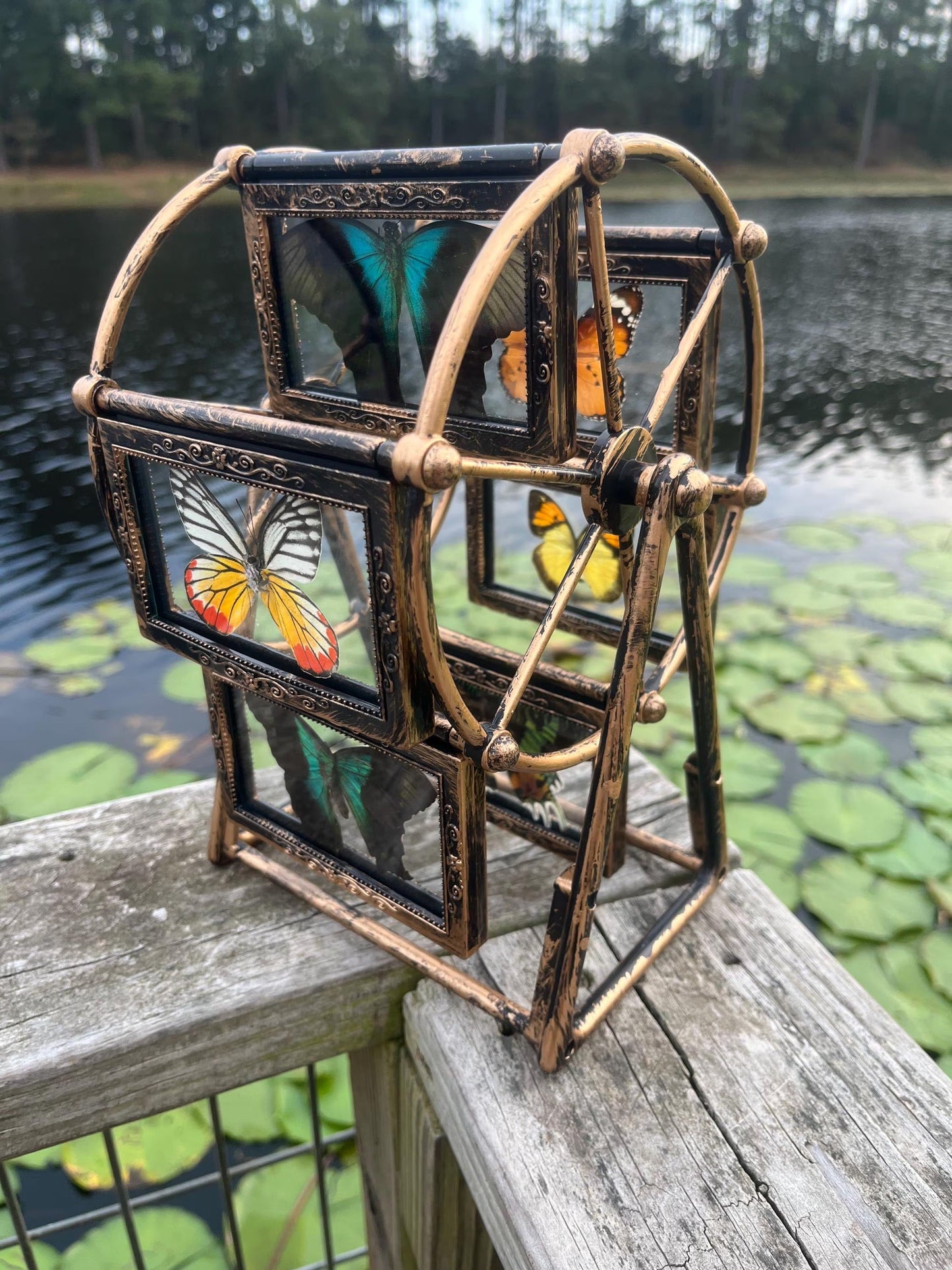Butterfly Ferris Wheel - Randomly select a whimsical Ferris wheel