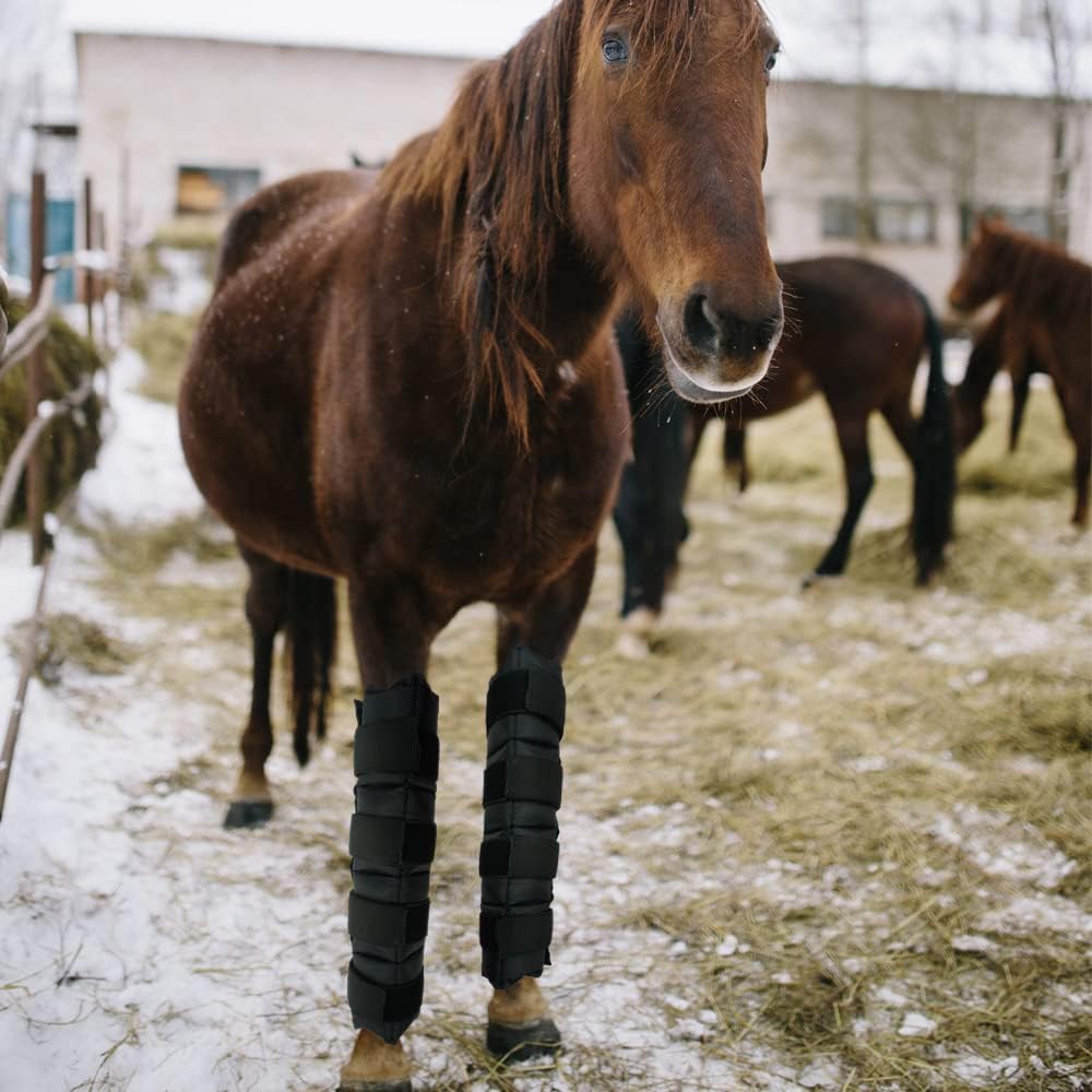 Horse leg cooling boots