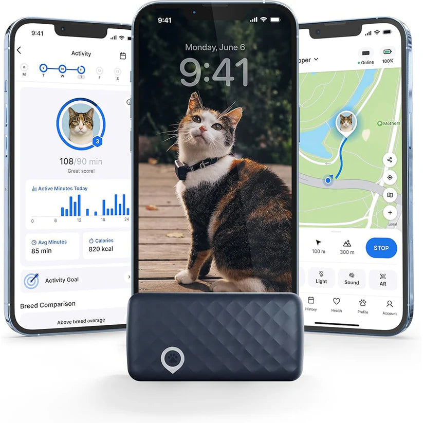 Mini GPS Cat Tracker – Real-Time Location & Activity Monitor with Safety Collar