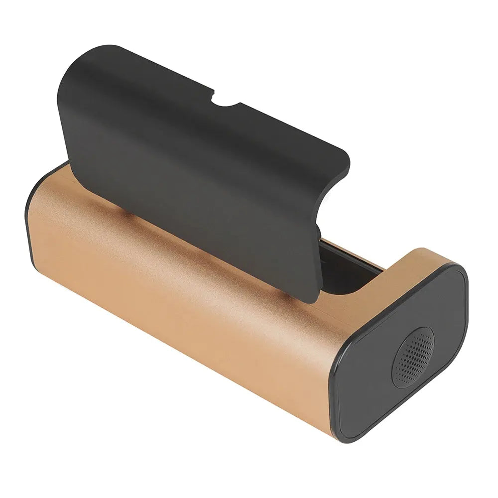 Wind instrument disinfection box