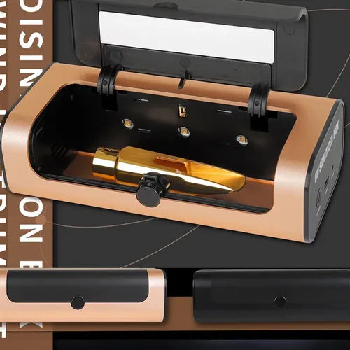Wind instrument disinfection box