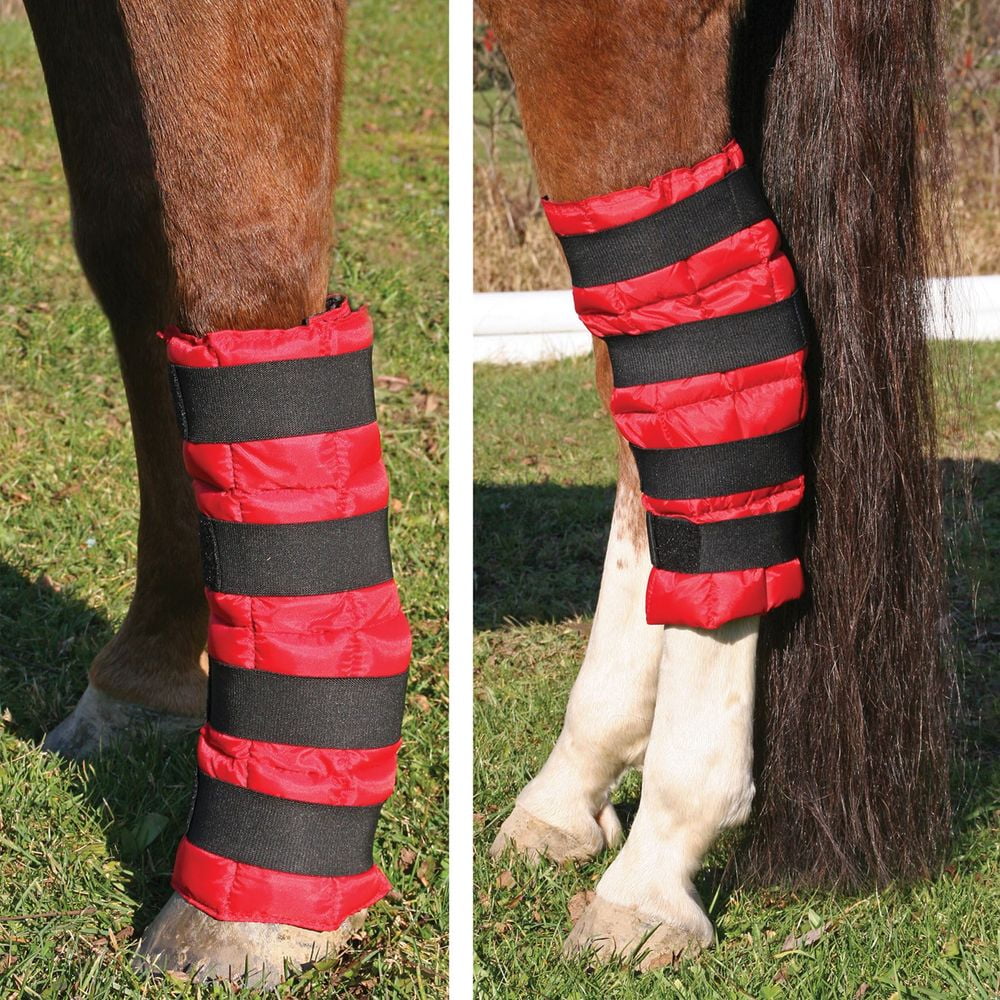 Horse leg cooling boots