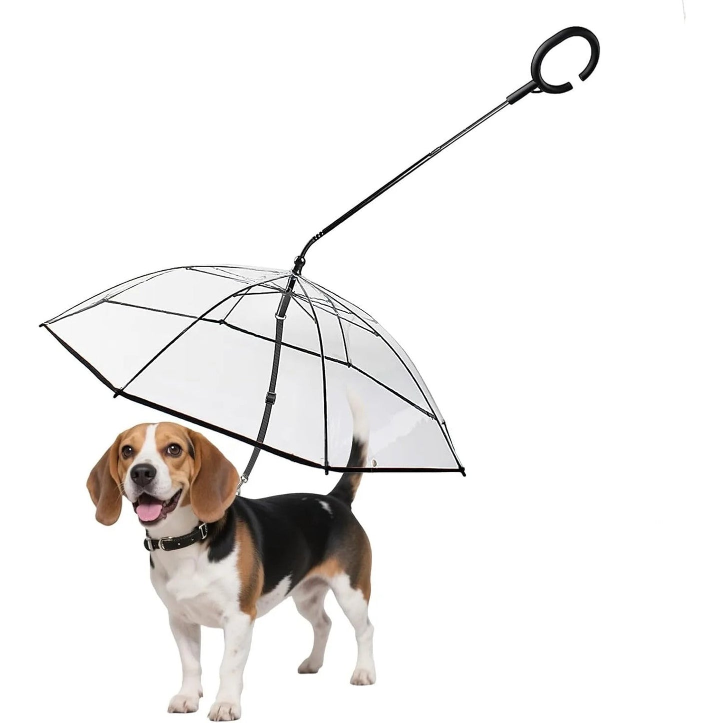 Transparent Foldable Pet Leash – Rain Protection, Adjustable Length, Portable