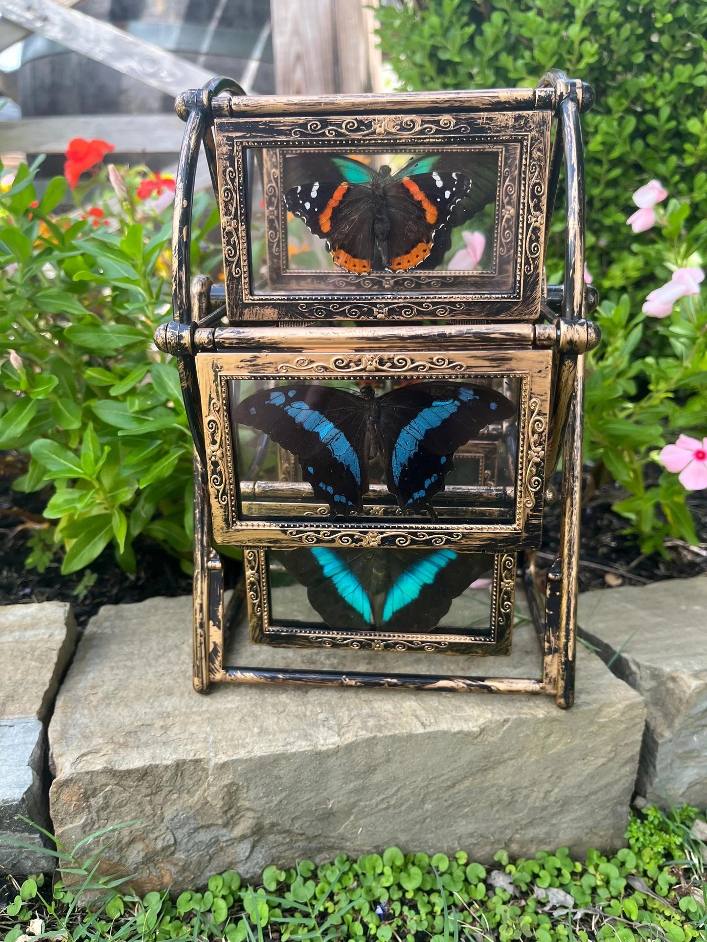 Butterfly Ferris Wheel - Randomly select a whimsical Ferris wheel